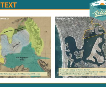 c-3-presents-a-wild-wilder-and-wildest-vision-to-restore-mission-bay-wetlands